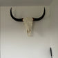 Yak Skull