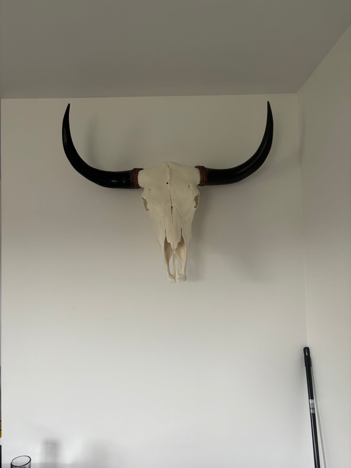 Yak Skull