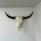 Yak Skull